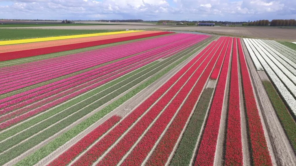 De beste tips voor een helikoptervlucht boven Nederland