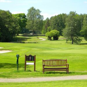 Бернардус Гольф на вертолете